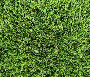 MGA Britt Kunstgras A. van Elk BV